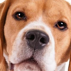 Meet your Posher, Kendra